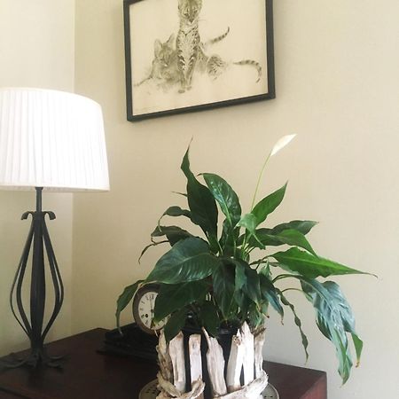 Panache Wildlife Cottage-Self Catering フッドスプルイト エクステリア 写真